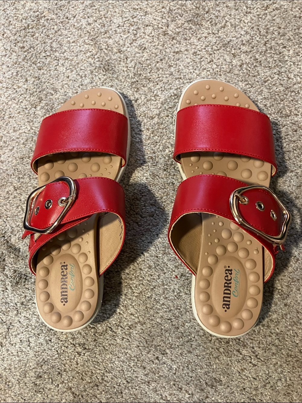 Andrea Red Double-Strap Slide Sandals with Gold Buckle Accent Size 6